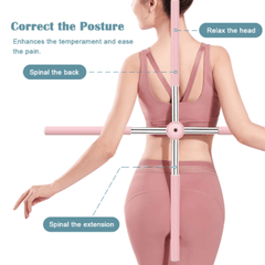 Posture Pole